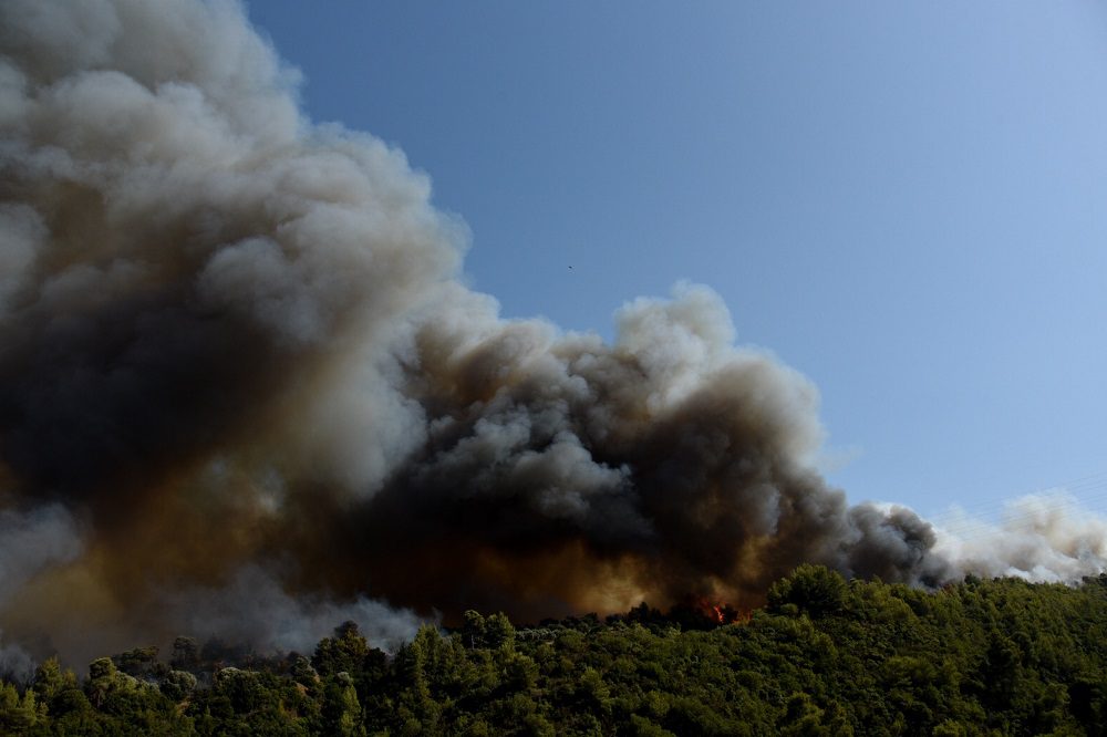 Φωτιά στην Αχαΐα: Πάνω από 100 εγκλωβισμένοι σε παραλίες απομακρύνθηκαν με σκάφη του Λιμενικού