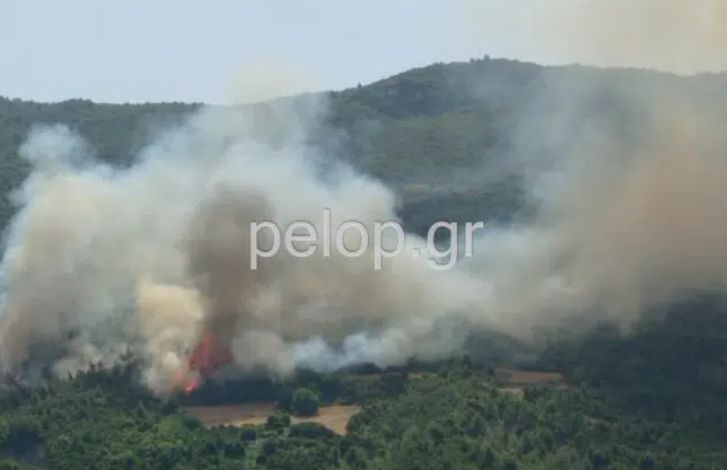 Φωτιά στην Πάτρα: Στην περιοχή Δροσιά – Εκκενώνεται ο οικισμός