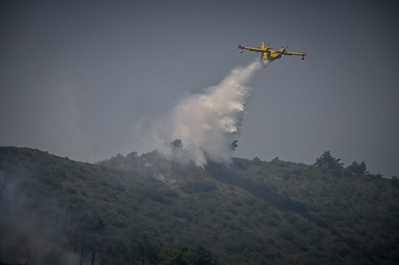 Βόλος: Πυρκαγιά στην περιοχή Περίβλεπτο – δεν απειλούνται οικισμοί
