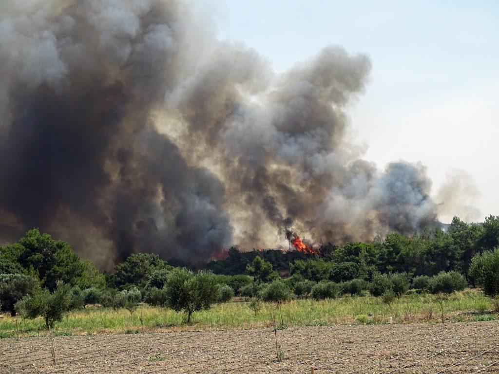 Συνεχίζεται η μάχη με τις φλόγες σε Φθιώτιδα και Ρόδο – Ισχυρές πυροσβεστικές δυνάμεις και στη Μεσσηνία