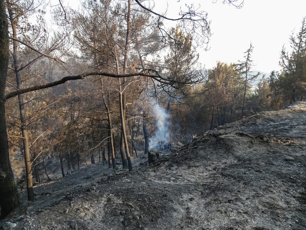 Μετράει τις πληγές της η Ρόδος – Σε ύφεση η πυρκαγιά