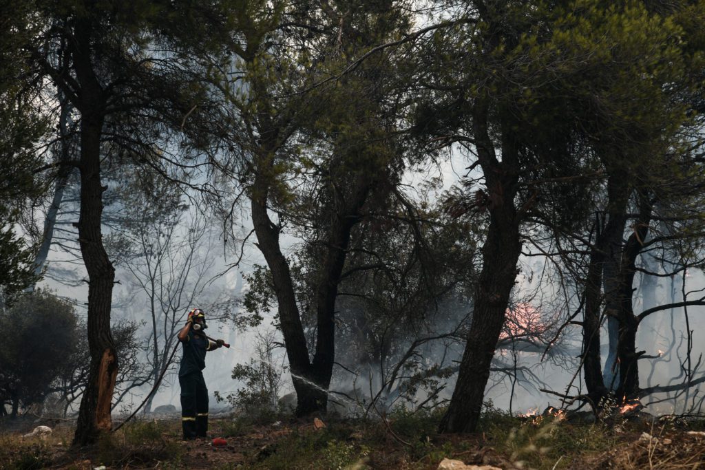 Γκουρμπάτσης: 278% η αύξηση της καμένης γης εφέτος σε σχέση με το μέσο όρο των ετών 2008-2020