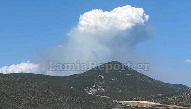 Ανεξέλεγκτη πυρκαγιά στη Φθιώτιδα – Εκκενώθηκε το Λογγίτσι – 500 μέτρα από το χωριό οι φλόγες