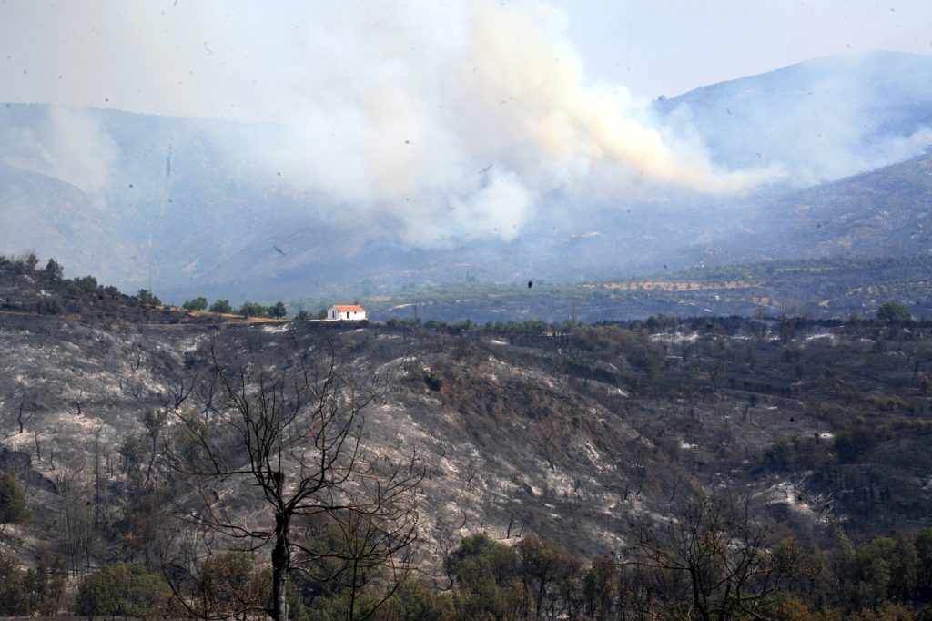 Πυρκαγιά Αρκαδία: Πύρινη λαίλαπα σαρώνει τη Γορτυνία