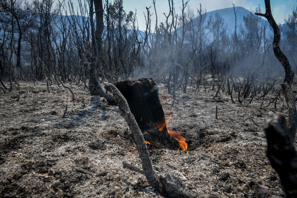 Βίλια: Καταγγελία από τον αντιπρόεδρο του οικισμού Αγ. Νεκταρίου για το πως ξεκίνησε η πυρκαγιά (Βίντεο)