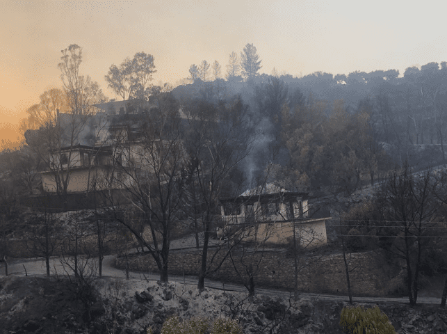 Πυρκαγιά στην Μεσσηνία: Κάηκαν σπίτια -Παραμένουν διάσπαρτες εστίες