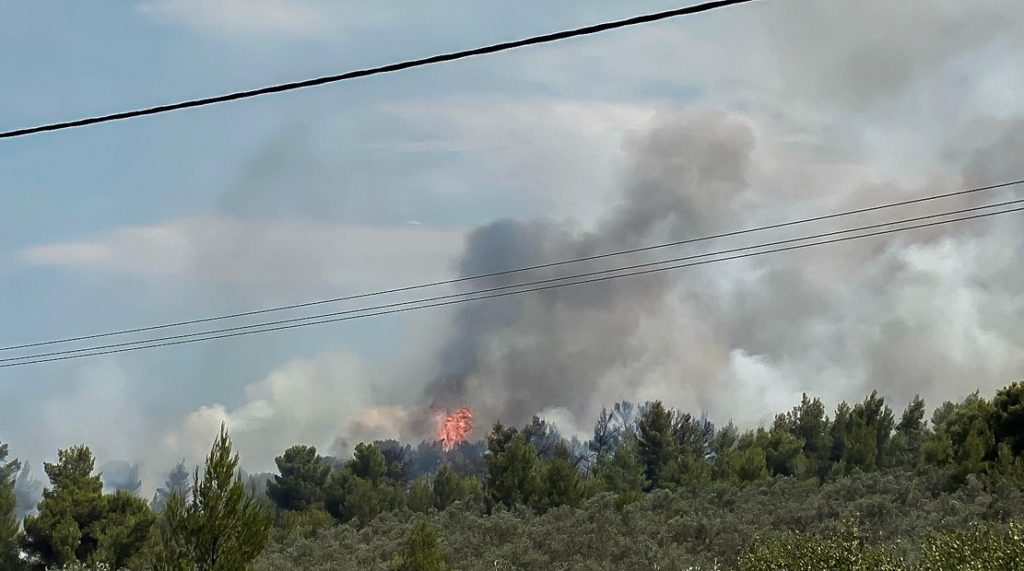 Ελεύθερος με περιοριστικούς όρους ο 14χρονος για τις φωτιές στον Θεολόγο Μαλεσίνας