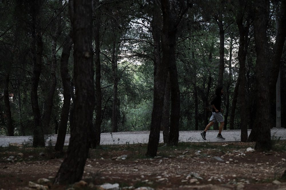 Προσαγωγή υπόπτου για εμπρησμό στο Άλσος Πετρούπολης