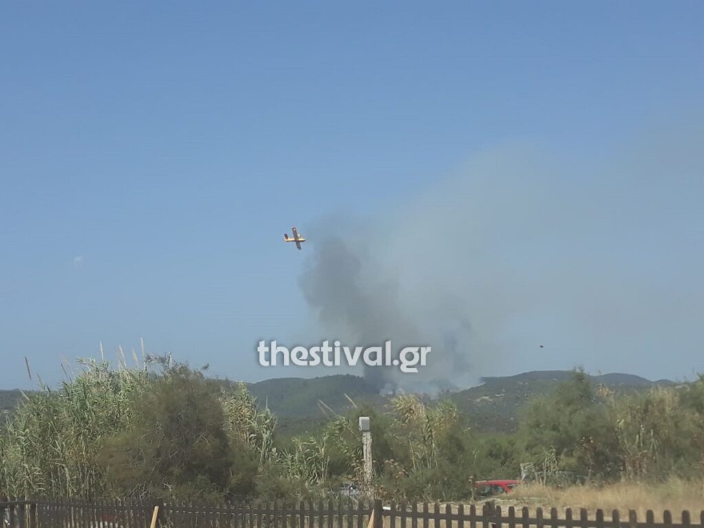 Φωτιά στην Τορώνη Χαλκιδικής (Video)