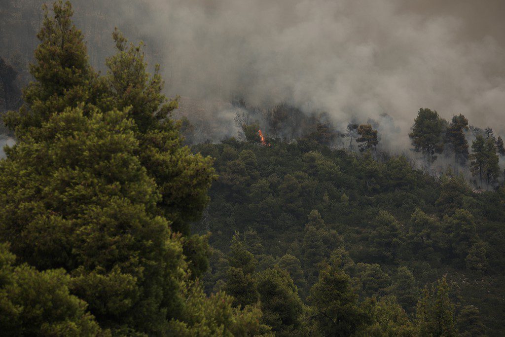 Μήνυμα του 112: Απαγορεύονται οι μετακινήσεις σε δάση και άλση μέχρι τη Δευτέρα