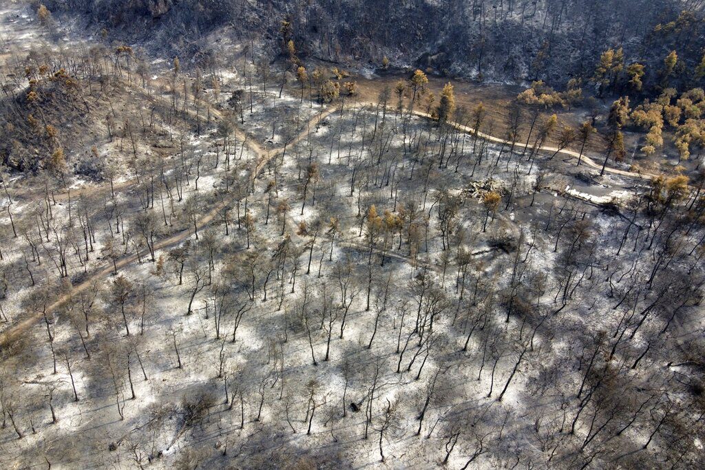 Πάνω από 1.000.000 στρέμματα κάηκαν σε δύο βδομάδες στην Ελλάδα σύμφωνα με το EFFIS