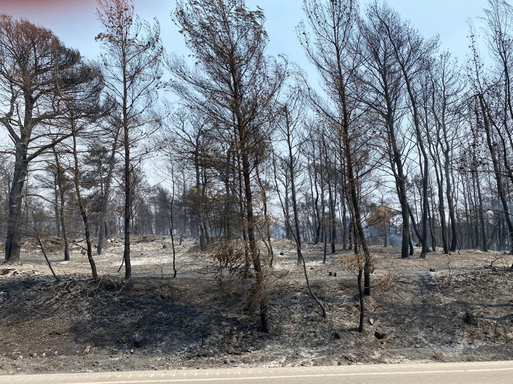 Γεννιέται το νέο πολιτικό και κοινωνικό ρεύμα