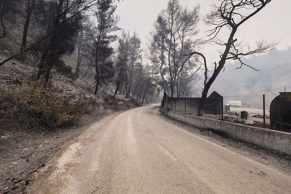 Φωτιά Εύβοια: Στις φλόγες οι Ροβιές, μόλις ένα ελικόπτερο επιχειρεί – Πολίτες προσφέρουν βοήθεια με το καΐκι τους (Video)