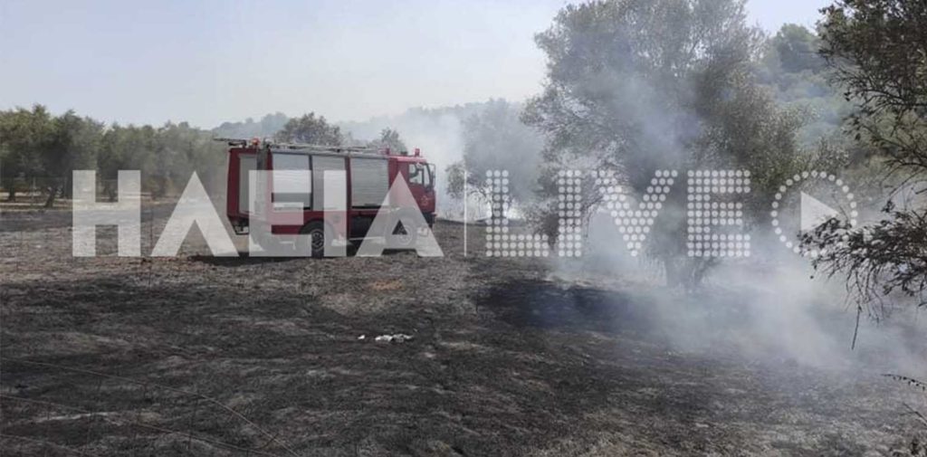 Φωτιά Αρχαία Ολυμπία: Εμπρησμό καταγγέλλει στο documentonews.gr ο αντιπεριφερειάρχης Ηλείας