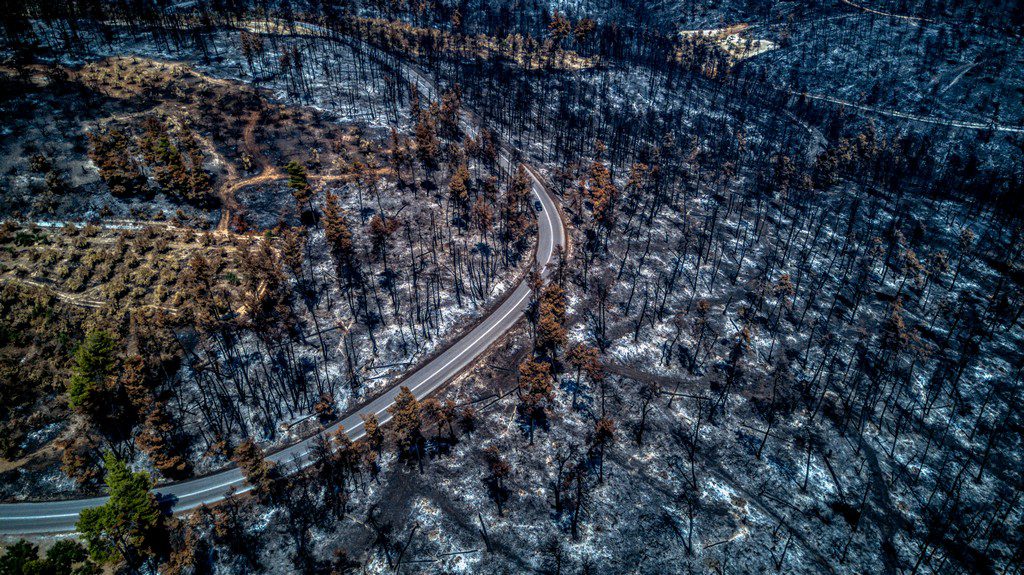 Εύβοια: Τo ένα τρίτο των δασών έγινε στάχτη από την πρόσφατη πυρκαγιά