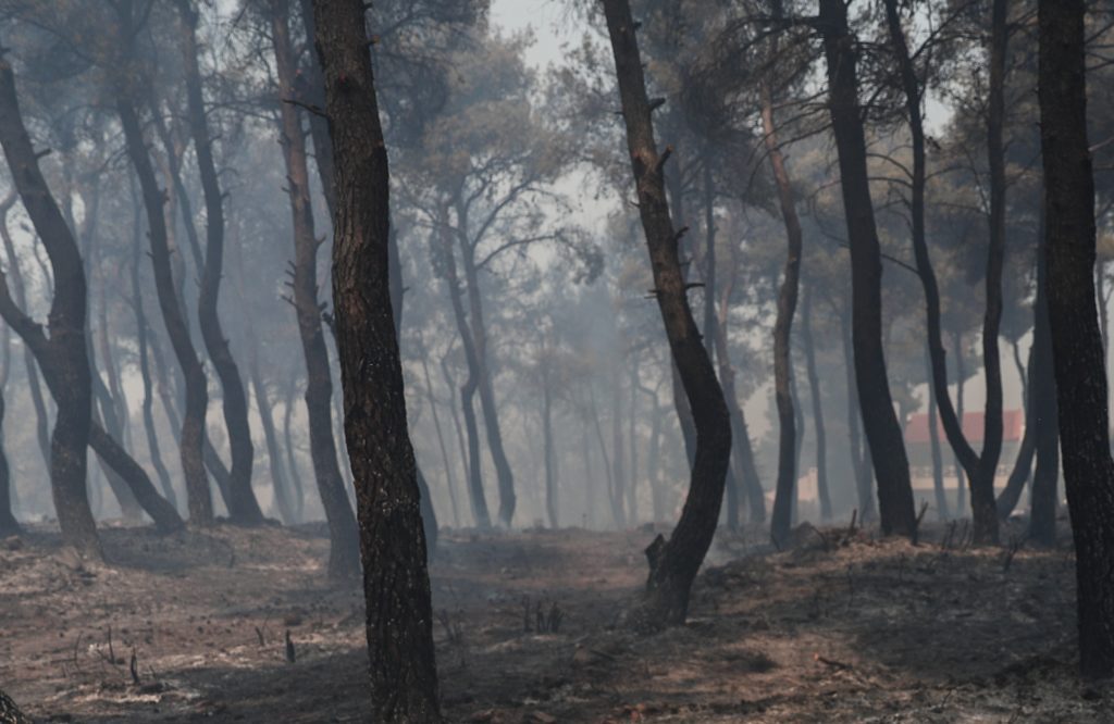 Υπό έλεγχο η φωτιά στο νησί της Κω