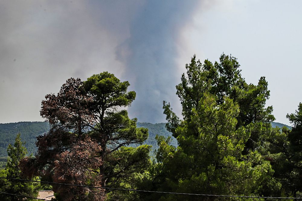 Φωτιά στην Αττική: Πού έχει διακοπεί η κυκλοφορία στην εθνική οδό Αθηνών – Λαμίας