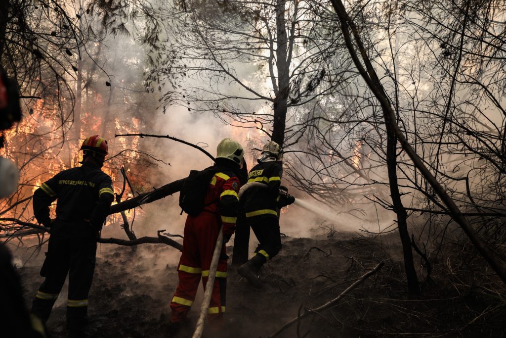 Εύβοια: Φωτιά στο Μίστρο σε δασική έκταση – Στο σημείο εναέρια μέσα