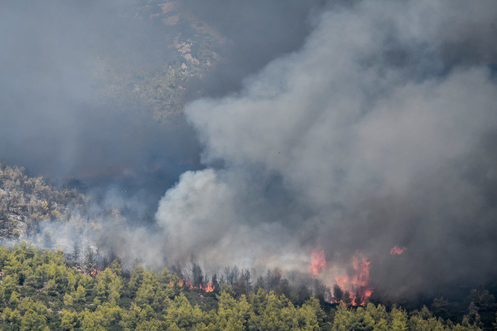 Αιχμές από πρώην διευθυντή επιθεώρησης Δασών για την αντιμετώπιση της πυρκαγιάς στα Βίλια (Video)