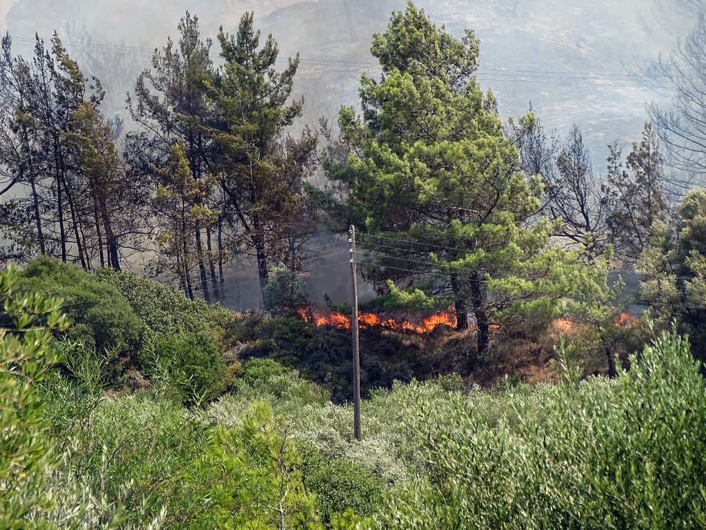 Ρόδος: Απαγόρευση κυκλοφορίας την Τετάρτη στις δασικές περιοχές από τις 2 το μεσημέρι