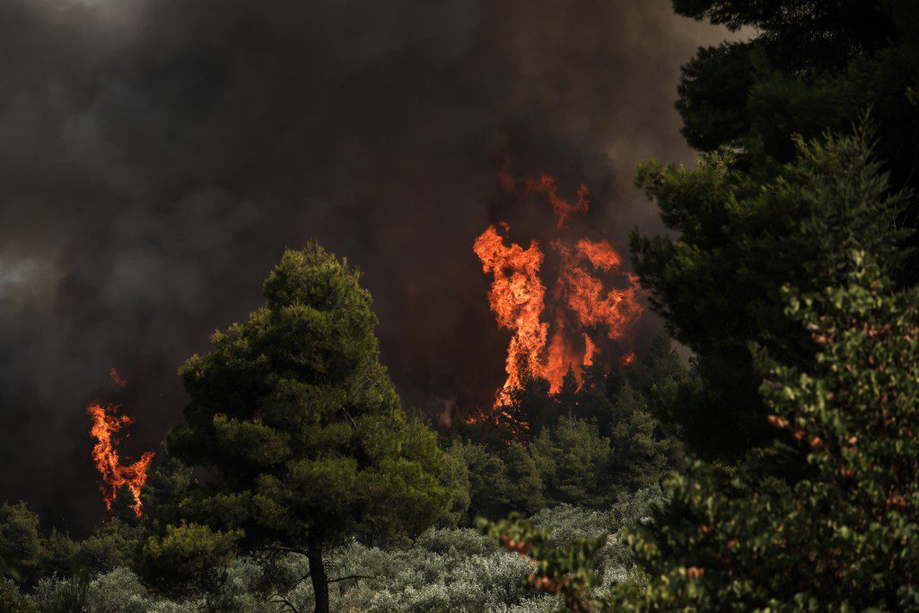 Πυρκαγιά στη Φωκίδα: Εκκενώθηκαν χωριά – Κάηκαν σπίτια – 	Στα 6 χιλιόμετρα το πύρινο μέτωπο