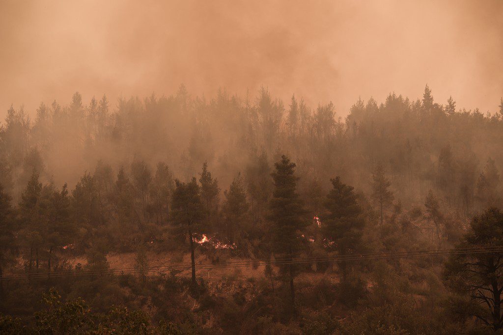 Ανάλυση σοκ από το meteo: Η καμένη έκταση στην Ελλάδα ξεπερνά τα 930.000 στρέμματα