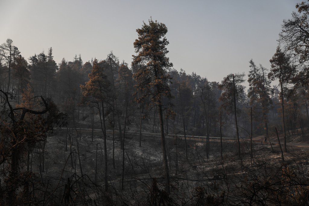 DW για τις πυρκαγιές στην Εύβοια: Η καταστροφή θα μπορούσε να αποφευχθεί – Ο κόσμος νιώθει προδομένος