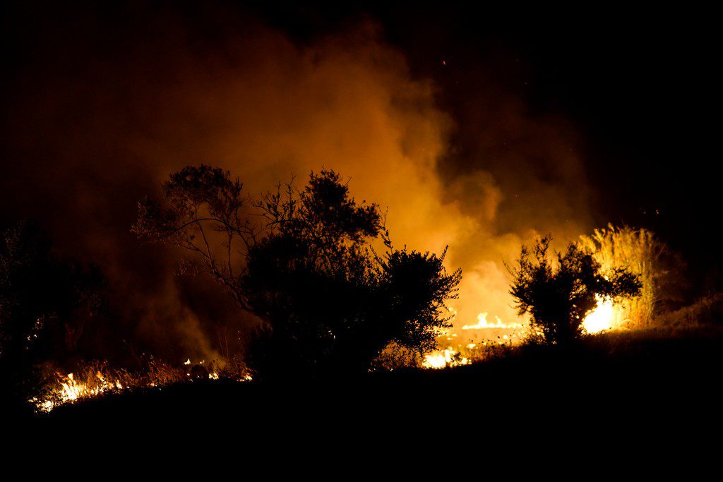 Παραμένει μεγάλο το πύρινο μέτωπο στη Γορτυνία – Επιχειρούν συνεχώς οι πυροσβεστικές δυνάμεις
