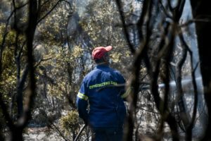 Πυροσβεστική: Πολύ υψηλός κίνδυνος πυρκαγιάς σε Αττική, Εύβοια, Λακωνία και Βόρειο Αιγαίο