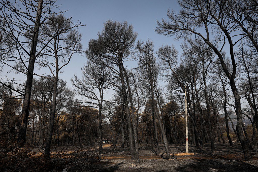 Δύο συλλήψεις για εμπρησμούς σε Χαϊδάρι και Αθήνα