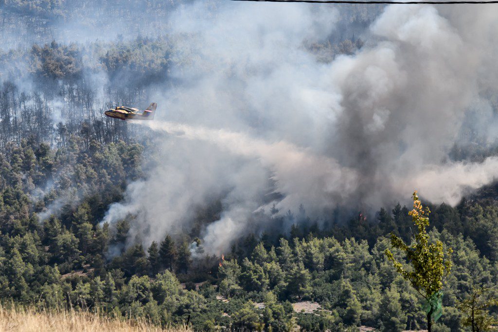 Πυρκαγιά στα Βίλια: Μαίνεται η πύρινη λαίλαπα σε 3 μέτωπα – Καίγεται πυκνό δάσος στο Όρος Πατέρας (Photos)