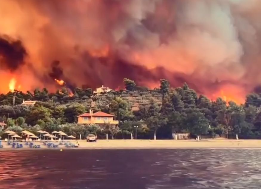 Συγκλονιστικό βίντεο από τη Λίμνη Ευβοίας: Οι φλόγες κατακαίνε το δάσος και φτάνουν στην παραλία (Video)