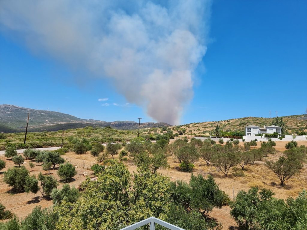 Νότια Εύβοια: Μήνυμα εκκένωσης στα Μεσοχώρια – Ανεξέλεγκτη η φωτιά