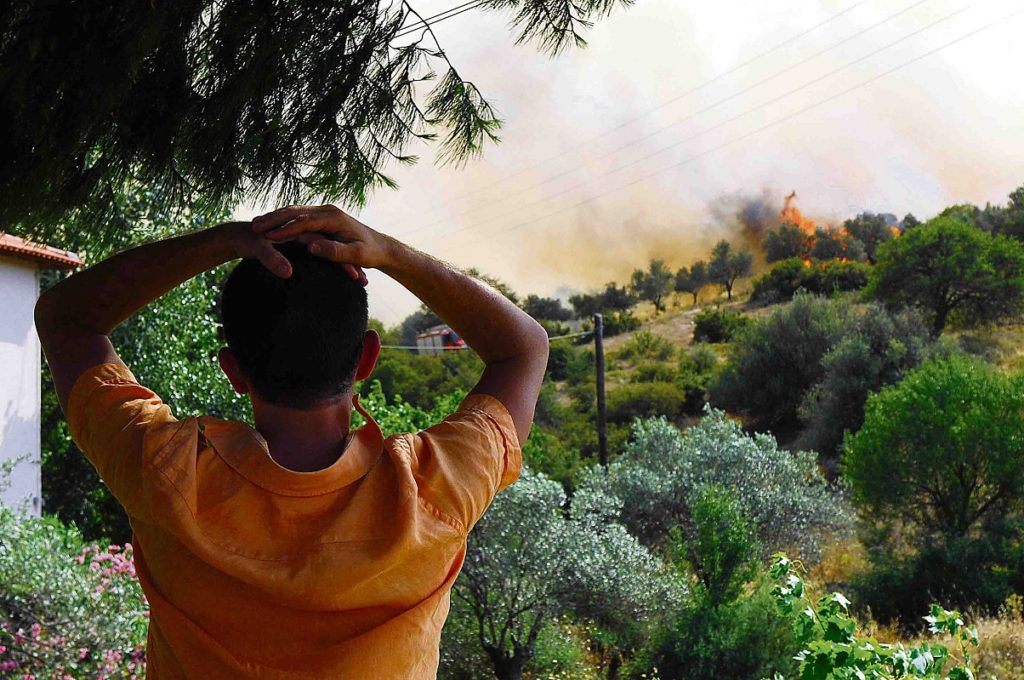 Η ΝΔ βλάπτει σοβαρά  τα ελληνικά δάση