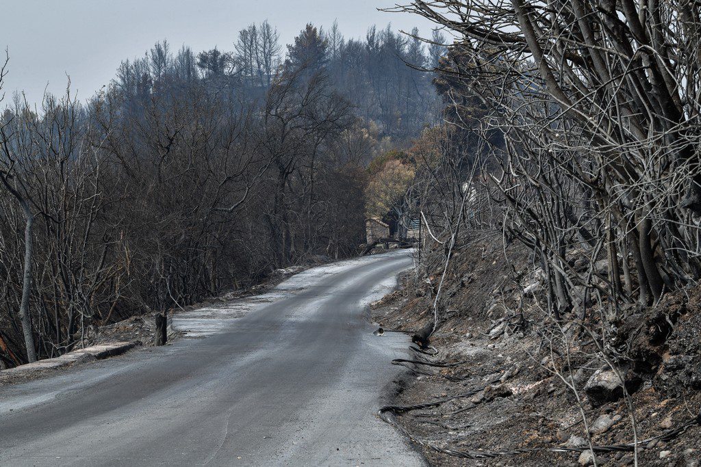 Πολιτική Προστασία: Πολύ υψηλός κίνδυνος πυρκαγιάς την Πέμπτη για 4 Περιφέρειες της χώρας
