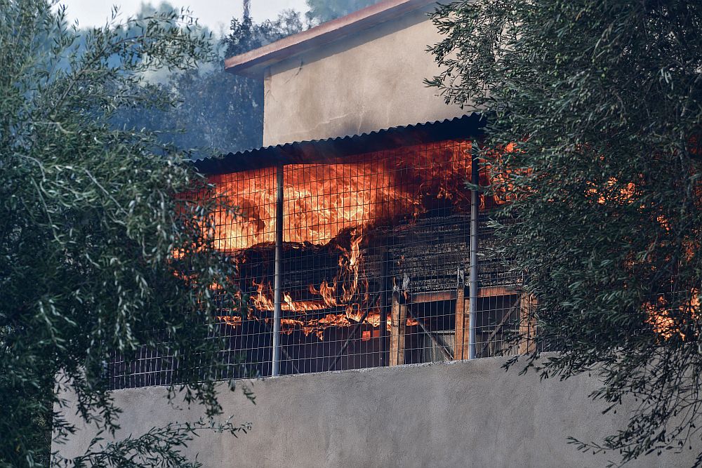 Φωτιές στη Γορτυνία – Πρόεδρος κοινότητας Πυρρή: «Ένα πυροσβεστικό γ@@ώ την κοινωνία μου, πολεμάμε μόνοι μας»