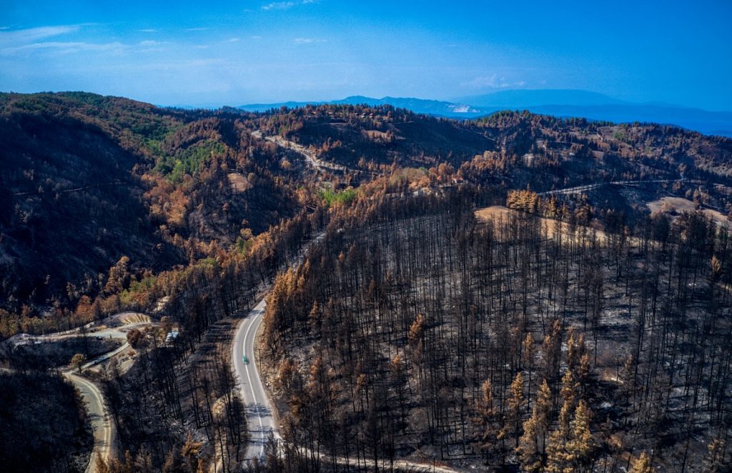 Καμένα 9.000 μελισσοσμήνη, χάθηκαν 10.000 τόνοι πευκόμελου από τις φετινές πυρκαγιές