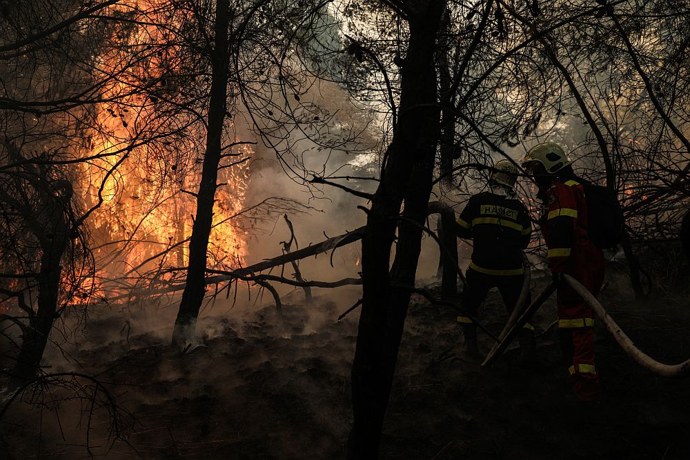 Φωτιά Γορτυνία: Αυτοκίνητο περνά κυριολεκτικά μέσα από τις φλόγες (Video)