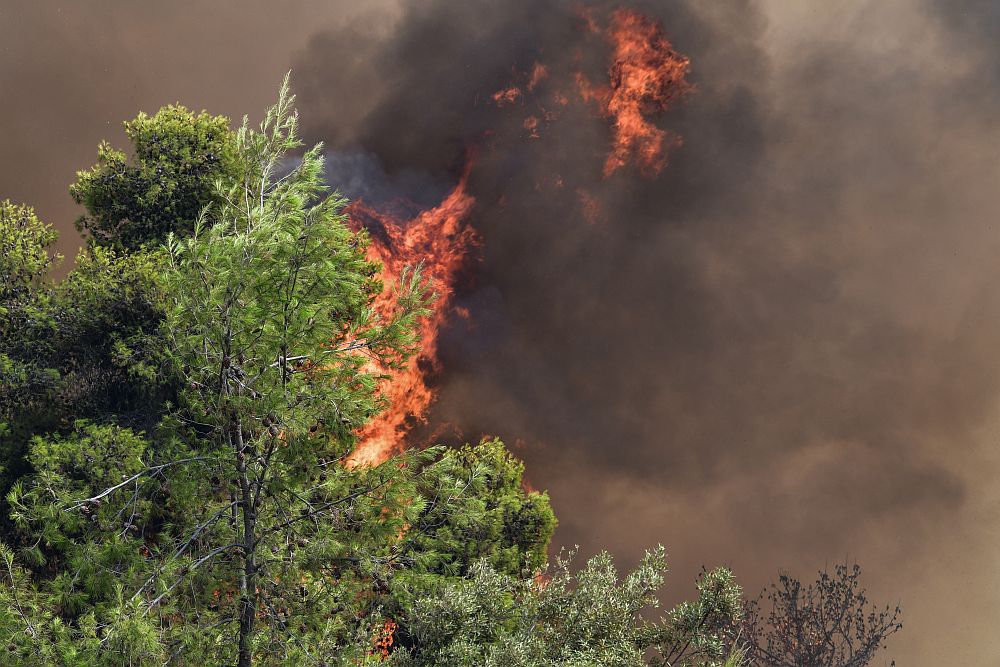 Πυρκαγιά στην Τανάγρα Βοιωτίας – Δεν απειλείται κατοικημένη περιοχή