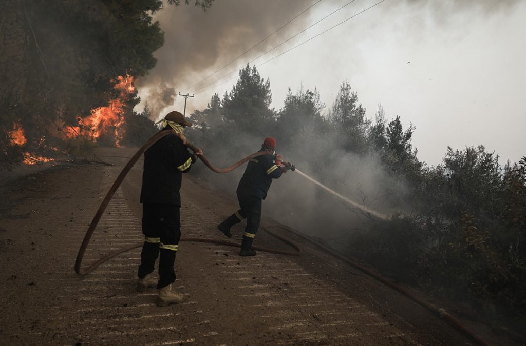 Δασική πυρκαγιά στο Μήλεσι Ωρωπού