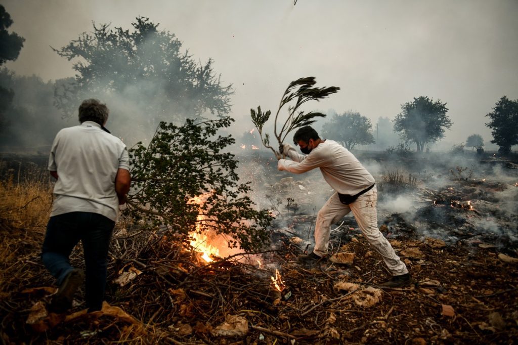 Πρόεδρος Κοινότητας Βιλίων: Επιχειρησιακό μπάχαλο στην προσπάθεια κατάσβεσης της πυρκαγιάς