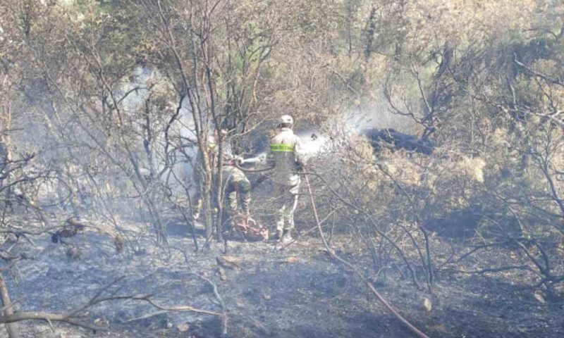 Μεγάλη πυρκαγιά στο Κρόκι Φωκίδας