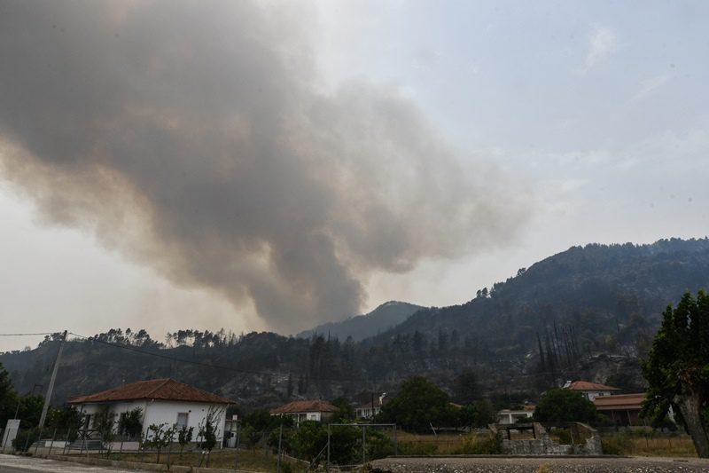 Νέα πυρκαγιά στην Εύβοια