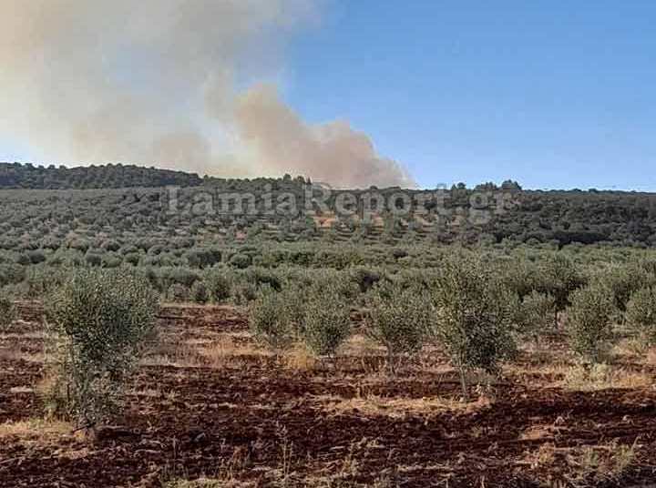 Λαμία: Σε εξέλιξη η πυρκαγιά έξω από την Αταλάντη