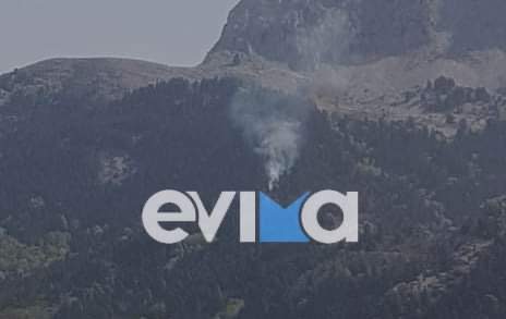 Φωτιά καίει δάσος στην ορεινή Κεντρική Εύβοια (Photos)