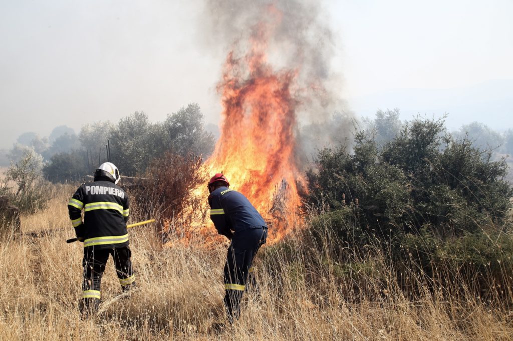 Φωτιά στις Ερυθρές Αττικής