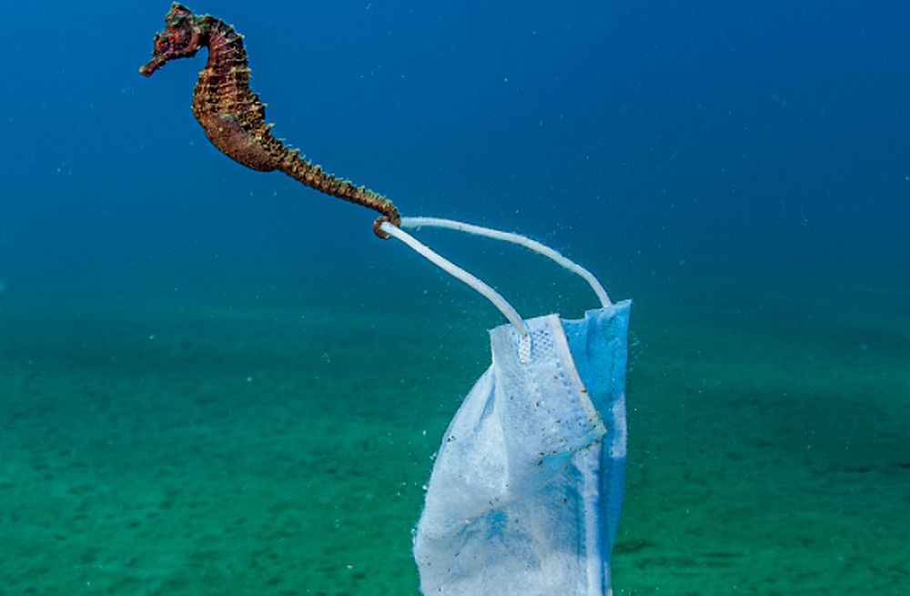 Το συγκλονιστικό στιγμιότυπο του Έλληνα φωτογράφου που πάει για βραβείο