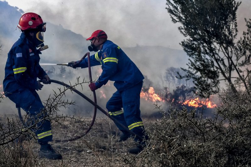 Hλεία: Πυρκαγιά σε αγροτοδασική έκταση στα Λεχαινά