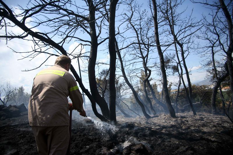 Πυρκαγιά σε πευκοδάσος στο Κιλκίς