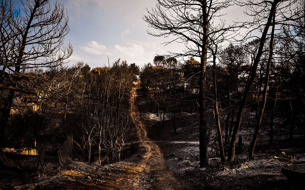 Ποινική δίωξη στον πρώην αρχηγό της Πυροσβεστικής Βασίλη Ματθαιόπουλο